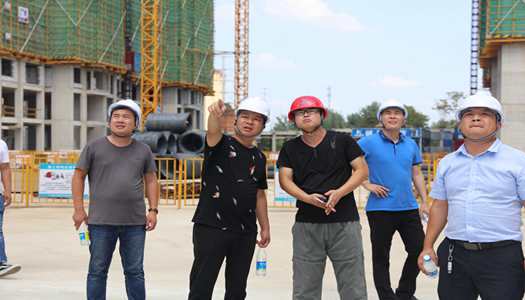 韦德官方网董事会巡检圆满完成